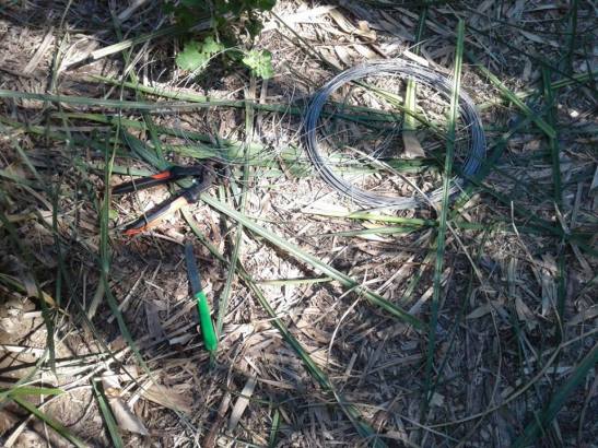 29-14713718_10208569108923899_7994921511484406306_n