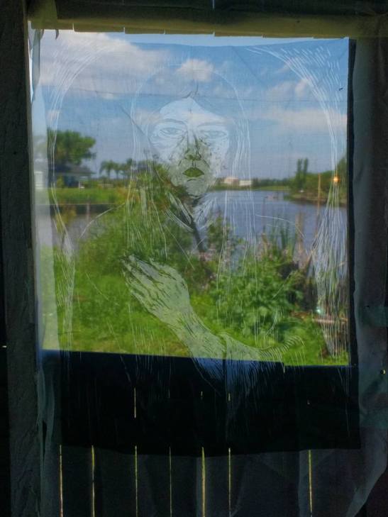 14915317_1516192935074287_2589301223581124640_n