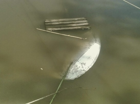 15271166_10208859661743744_1632036019_oxx