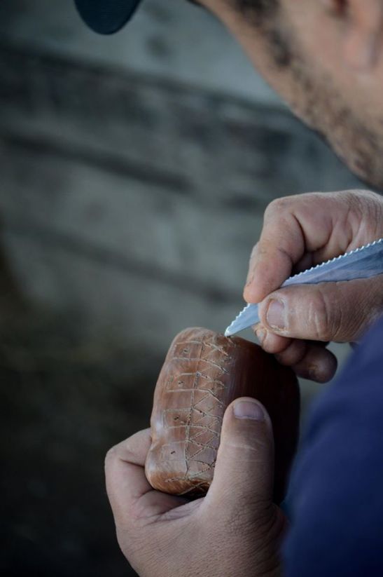 20-14902737_1279338812087618_4042446761660153904_o