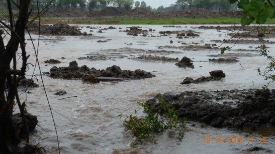 foto-canal-pilar-del-este