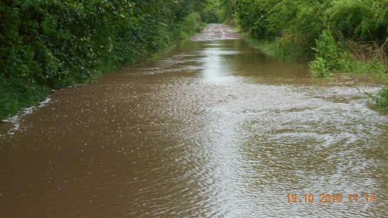 foto-quintana-salida-pilar-del-este-2