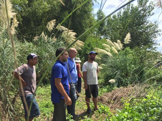 06-16807003_1384840701580833_8519619872234117980_n