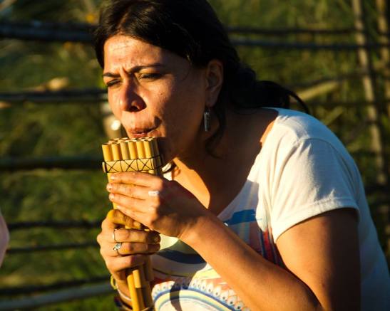 23-14716118_10211009411299551_7797588855759989519_n