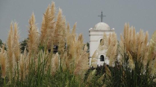 dsc07237