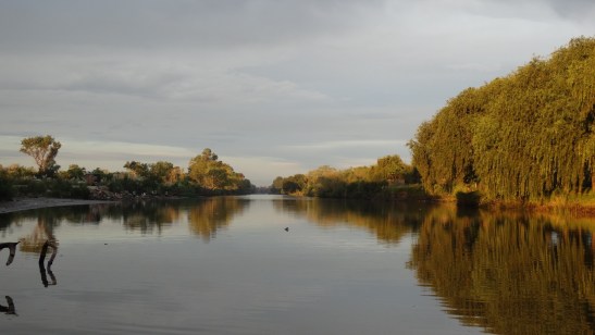 dsc07308