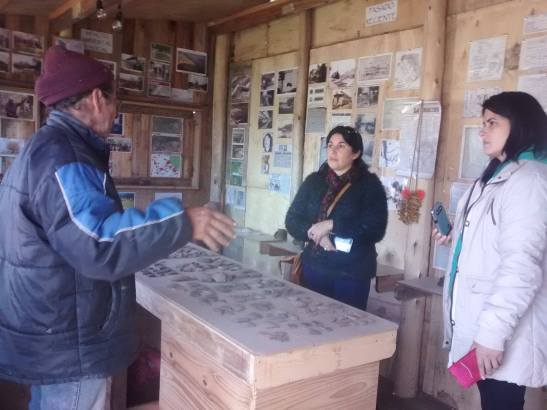 19197454_10212396261638161_374617306_o