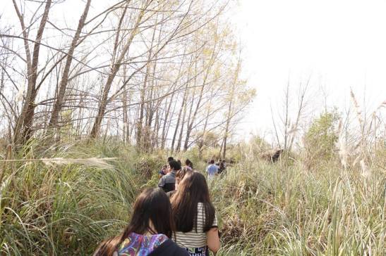 17 19420829_10213664359671099_224572413726033715_n