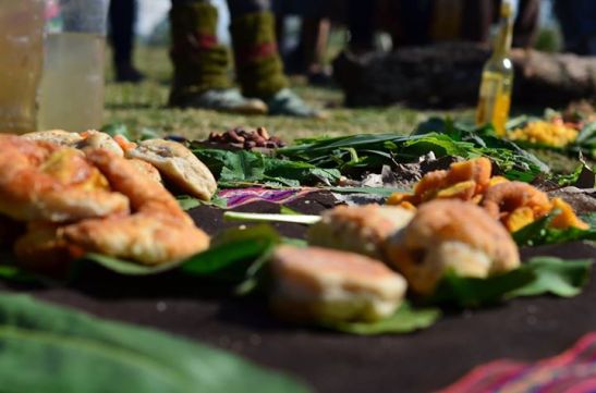 02-ofrenda-andrea-bichos-1551741_10203441478576128_5482275633489599144_n