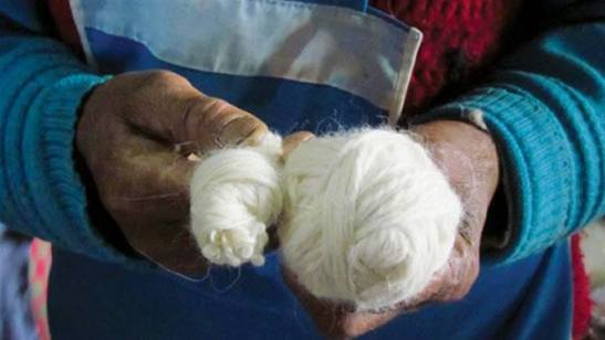 22221575_522546854747172_3731413224353899512_n