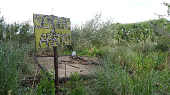 maloca - dsc06555 (1)