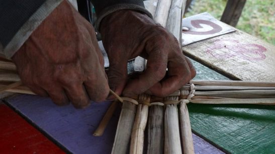 totora-24852109_552497945085396_1048998914944976446_n