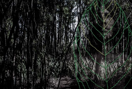 punta_querandi-der_04