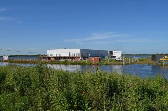 15492179_1375391645812830_4805946140468909577_n