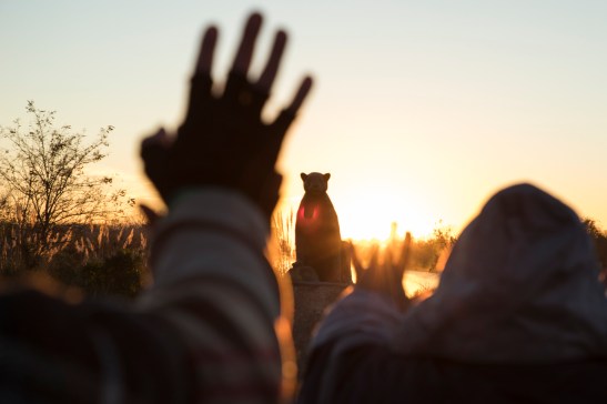 23-06-18 INTIRAYMI-8763