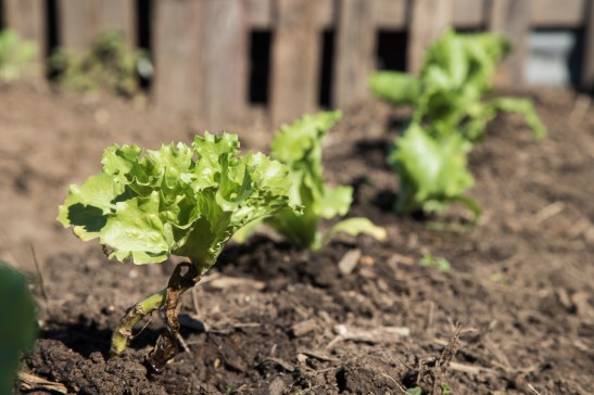 06-08-18_PUNTAQUERANDI-0280