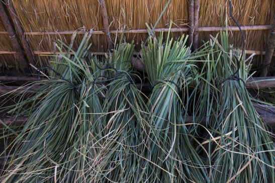 06-08-18_PUNTAQUERANDI-0393