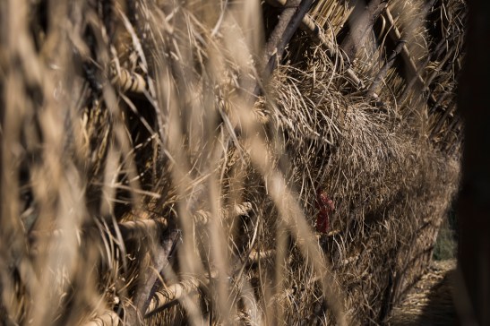 06-08-18_PUNTAQUERANDI-0396