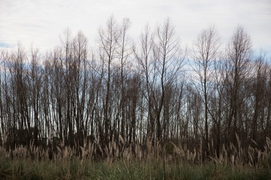 06-08-18_PUNTAQUERANDI-0495