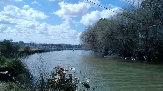 81758f38-886b-446b-becd-ab64296f313e