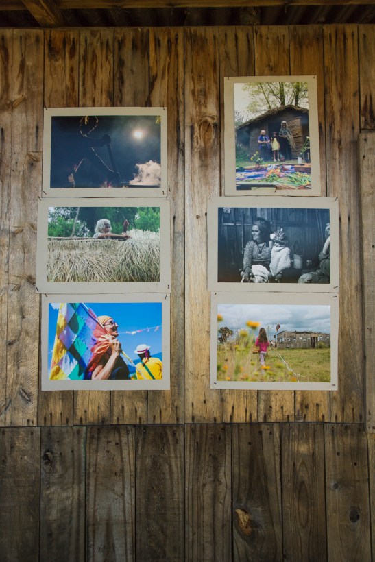 16-12-18_PUNTA QUERANDI_5299