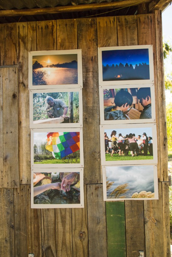 16-12-18_PUNTA QUERANDI_5302