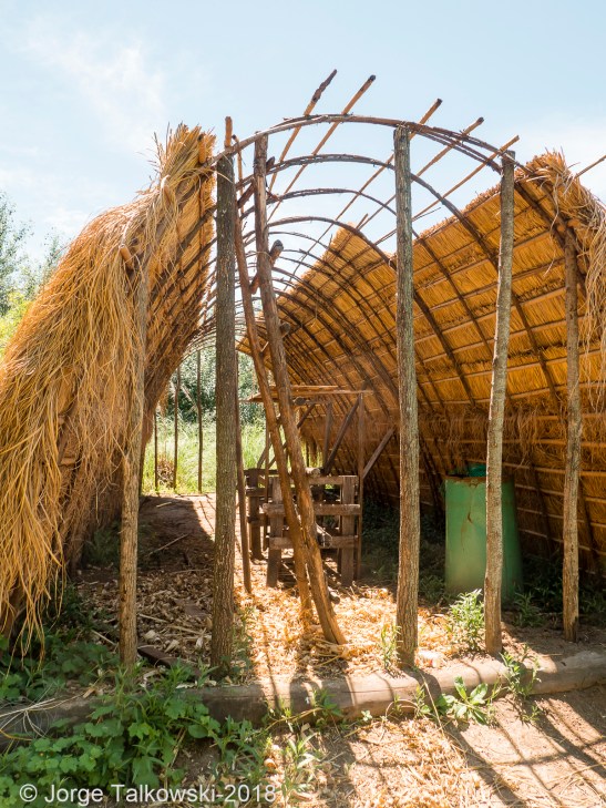 2018-11-25 Punta Querandi- 020