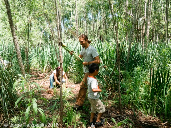 2018-11-25 Punta Querandi- 024