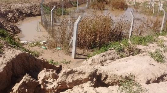 05 4e232450-d8f1-4651-9853-ddca99a7a3ca