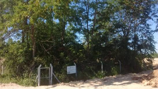 08 517f078d-49d9-40c9-bcf9-358b3a9645fb