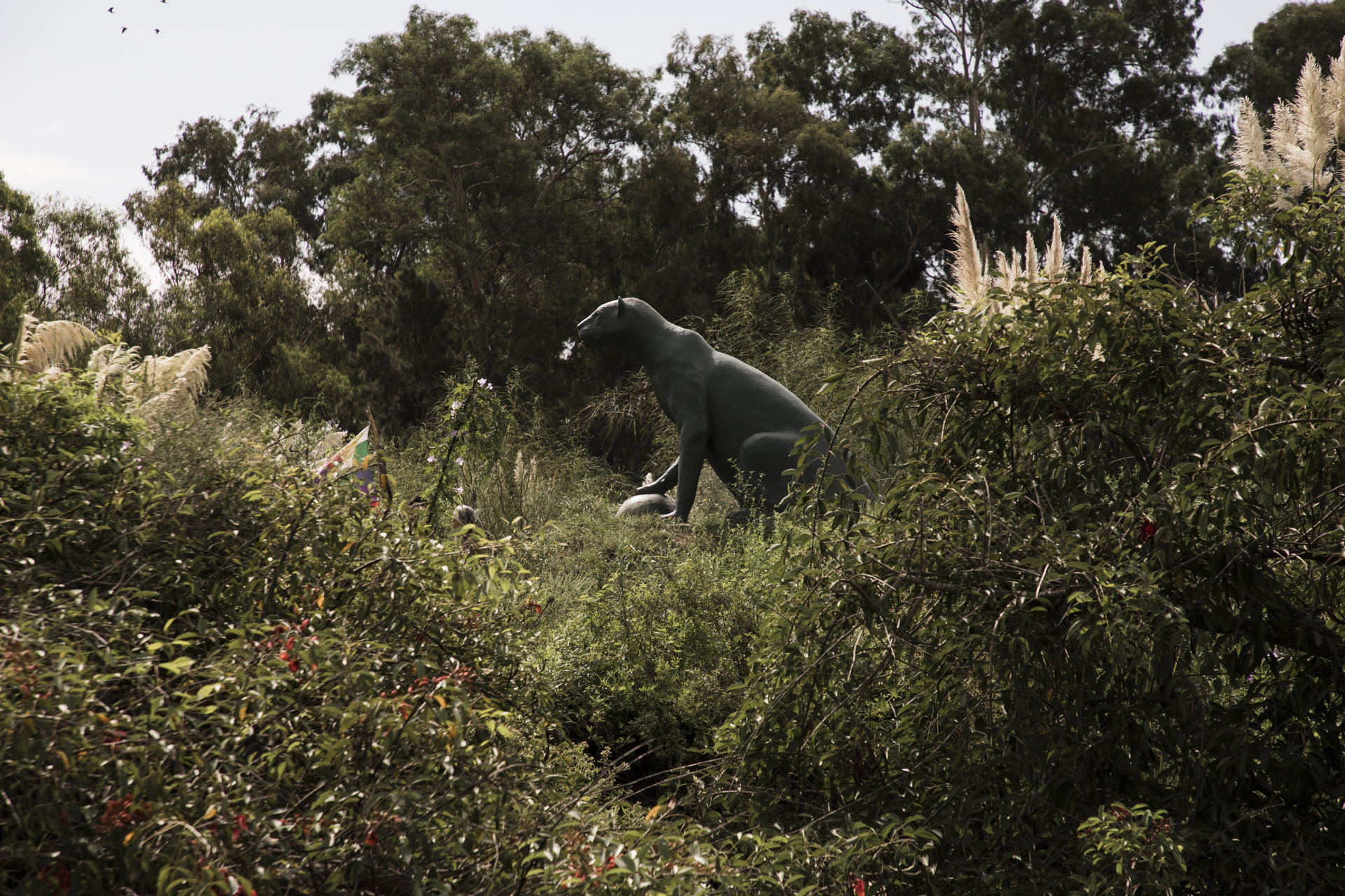 0224_aniversario_puntaquerandi_7513