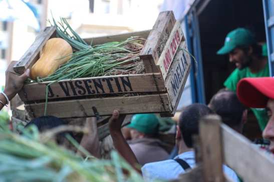 53088223_2104072883021407_399309066628759552_n