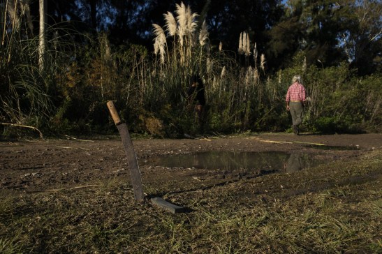 0428_PUNTAQUERANDI CORTE PAJA-0301