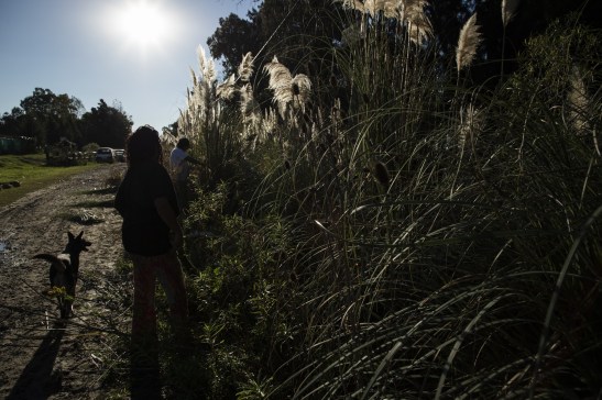 0428_PUNTAQUERANDI CORTE PAJA-0329