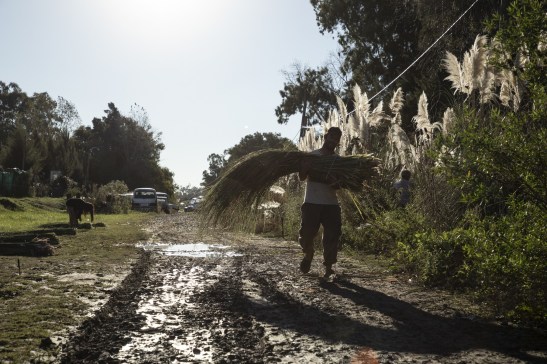 0428_PUNTAQUERANDI CORTE PAJA-0359