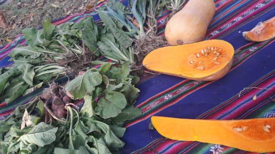 06 2bb8a3bd-b4a6-40ce-9d75-d0c82ba1c303