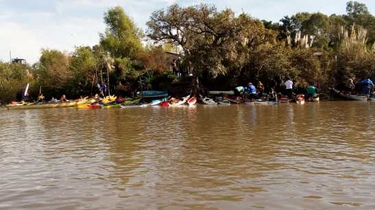 Bracamonte - b1e8132c-bc5f-4c2e-a3c9-ae724f66c362