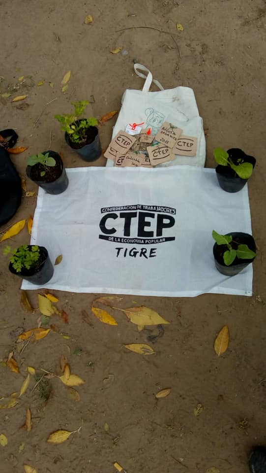 CTEP Tigre - 59669905_394584544470563_8056819972497735680_n