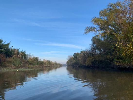 03 b9999bb0-6245-4df3-8390-e3f783acb9ff